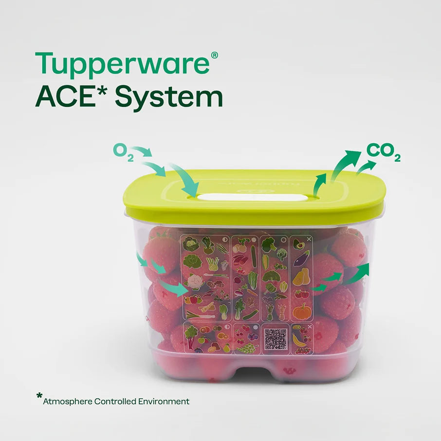 Tupperware® FridgeSmart® Small | Produce Storage Container With Lid